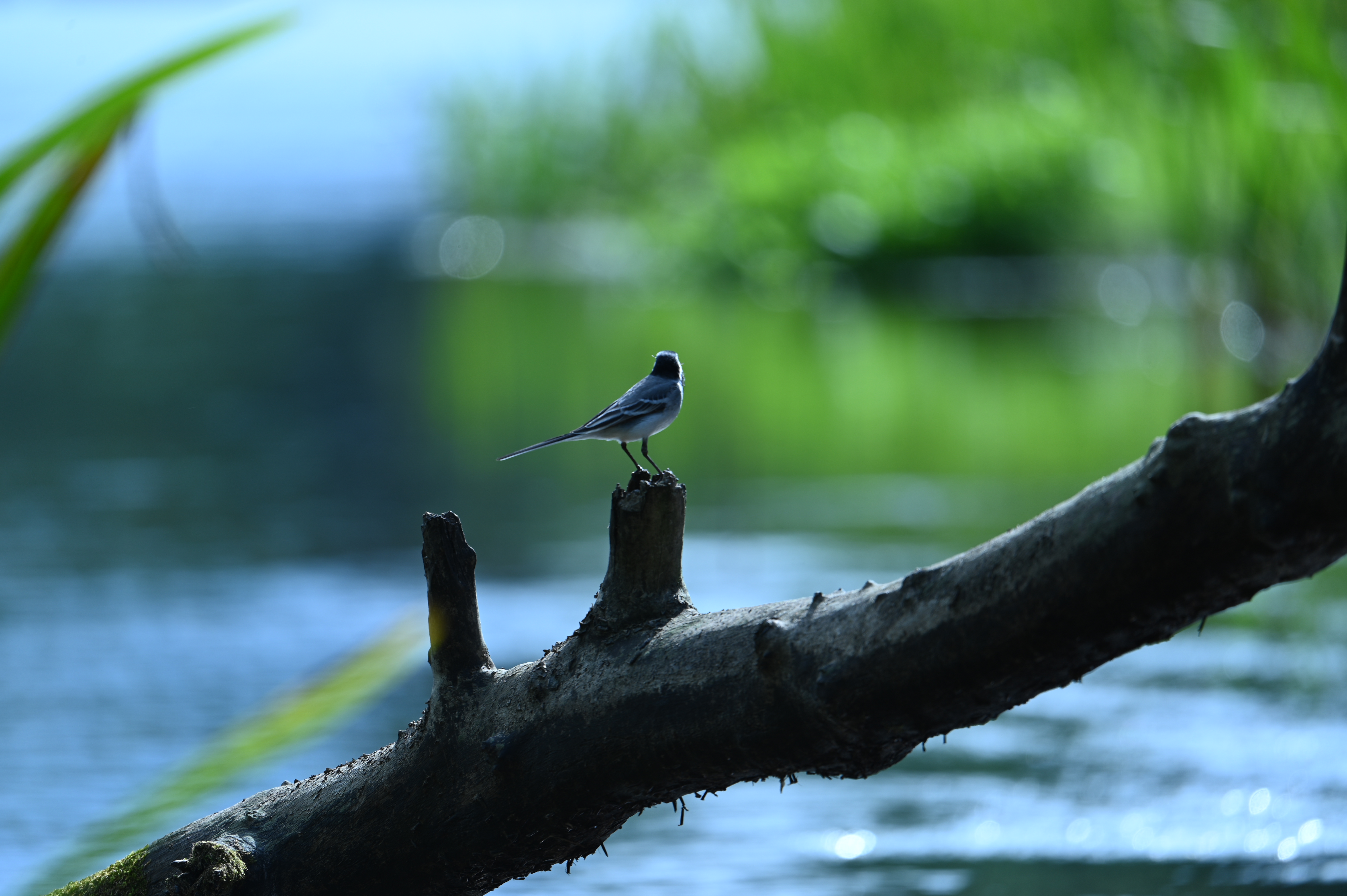 2025/07/09-14 - trip/DSC_0333.JPG